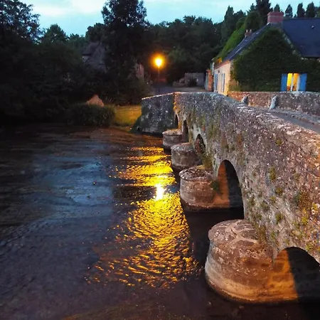 Wisteria * Asnieres-sur-Vegre