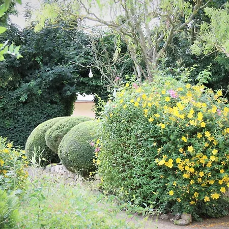 Prázdninový dům Wisteria