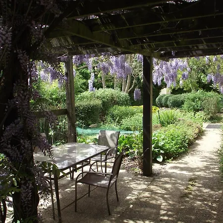 Wisteria * Asnieres-sur-Vegre