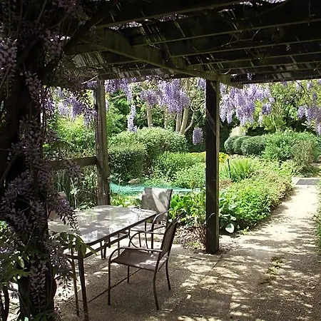 Wisteria