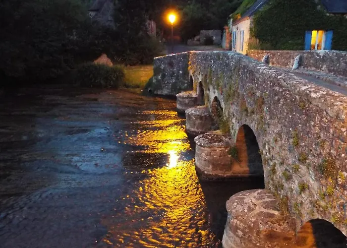 Wisteria * Asnières-sur-Vègre