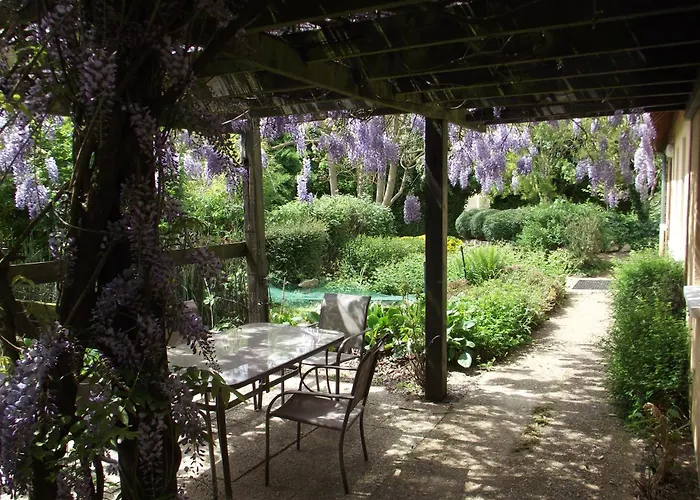 Wisteria * Asnières-sur-Vègre